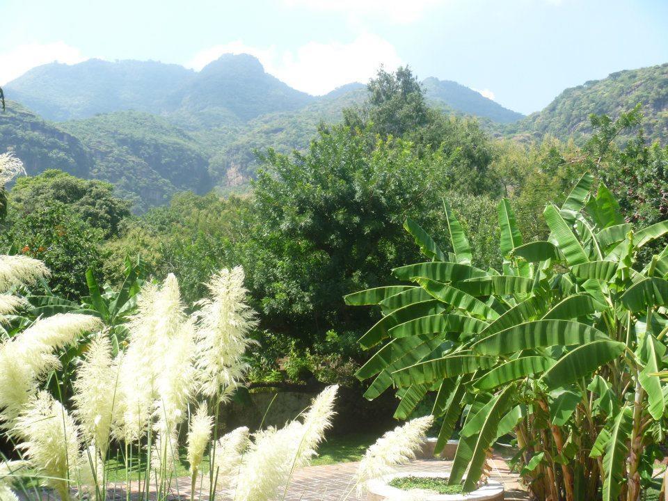 Hotel Boutique Casa De Campo Malinalco Ngoại thất bức ảnh